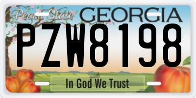 GA license plate PZW8198