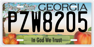 GA license plate PZW8205