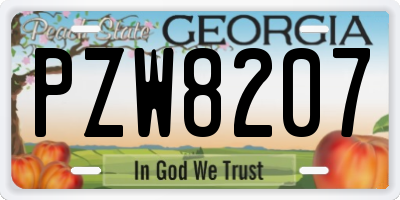 GA license plate PZW8207