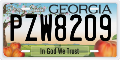 GA license plate PZW8209