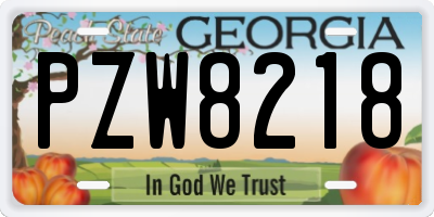 GA license plate PZW8218