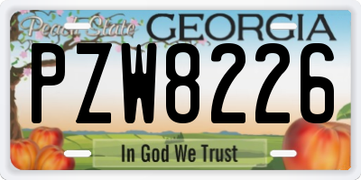 GA license plate PZW8226