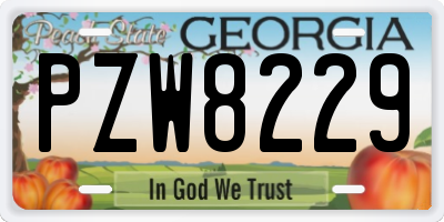 GA license plate PZW8229