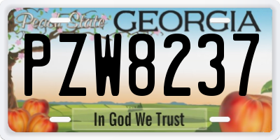 GA license plate PZW8237