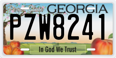 GA license plate PZW8241
