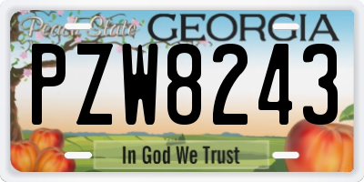 GA license plate PZW8243
