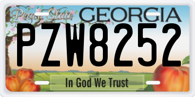 GA license plate PZW8252