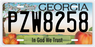 GA license plate PZW8258