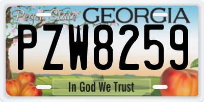 GA license plate PZW8259