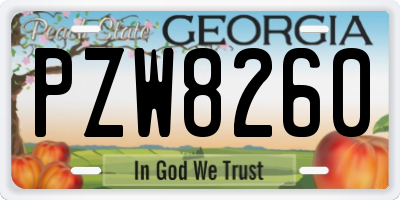 GA license plate PZW8260