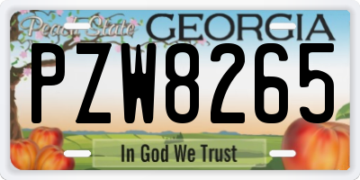 GA license plate PZW8265
