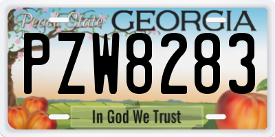 GA license plate PZW8283