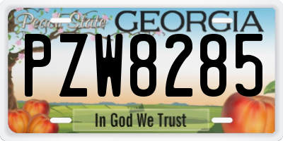 GA license plate PZW8285