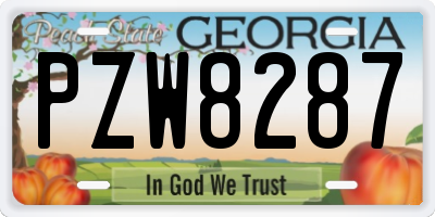 GA license plate PZW8287