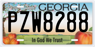GA license plate PZW8288