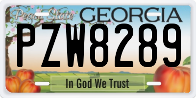 GA license plate PZW8289
