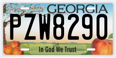 GA license plate PZW8290