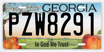 GA license plate PZW8291