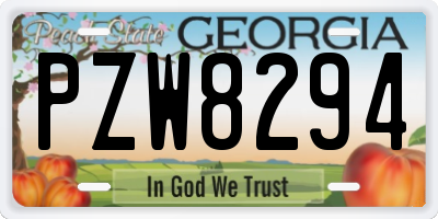 GA license plate PZW8294