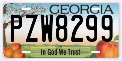 GA license plate PZW8299