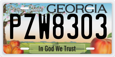 GA license plate PZW8303