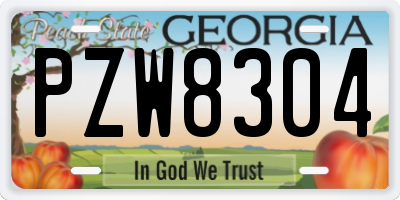 GA license plate PZW8304