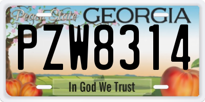 GA license plate PZW8314