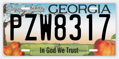 GA license plate PZW8317
