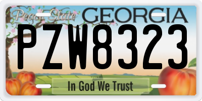GA license plate PZW8323