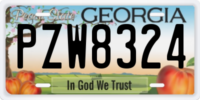 GA license plate PZW8324