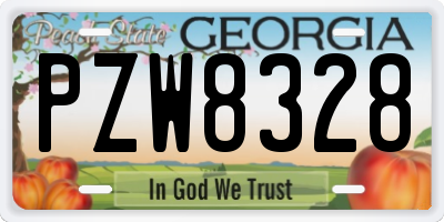 GA license plate PZW8328