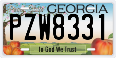 GA license plate PZW8331