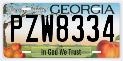 GA license plate PZW8334