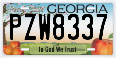 GA license plate PZW8337