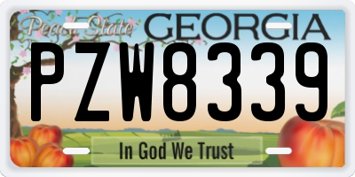 GA license plate PZW8339