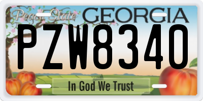 GA license plate PZW8340