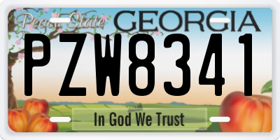 GA license plate PZW8341