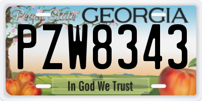 GA license plate PZW8343