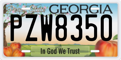 GA license plate PZW8350