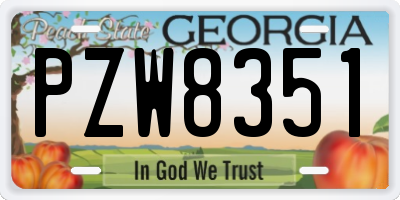 GA license plate PZW8351