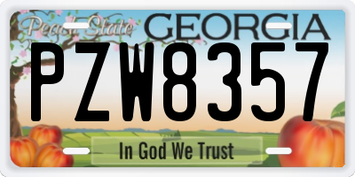 GA license plate PZW8357