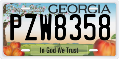 GA license plate PZW8358