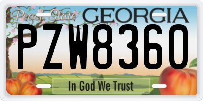 GA license plate PZW8360