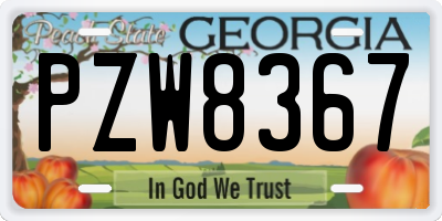 GA license plate PZW8367