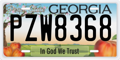 GA license plate PZW8368