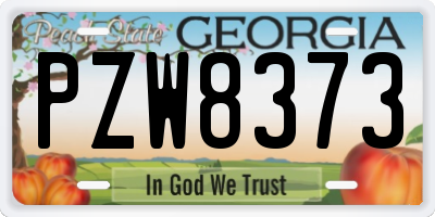 GA license plate PZW8373