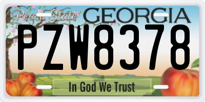 GA license plate PZW8378