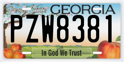 GA license plate PZW8381