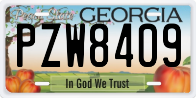 GA license plate PZW8409