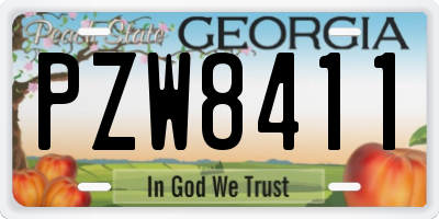 GA license plate PZW8411